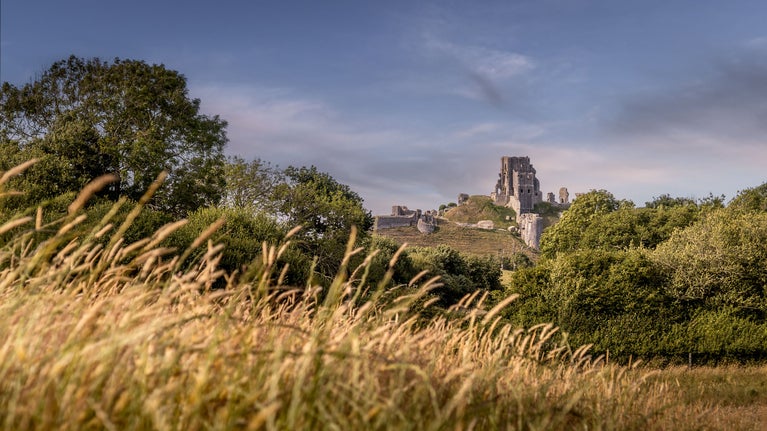 The hilltop ruins of Corfe Castle, viewed from Corfe Common, Dorset